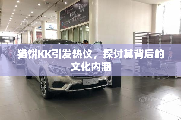 猫饼KK引发热议，探讨其背后的文化内涵