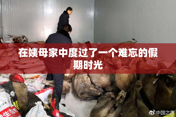 在姨母家中度过了一个难忘的假期时光