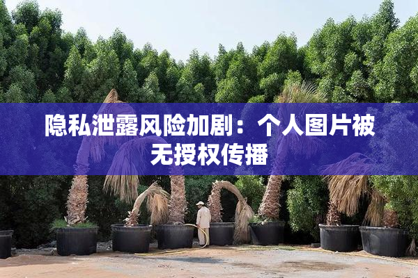 隐私泄露风险加剧：个人图片被无授权传播