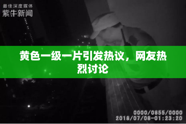 黄色一级一片引发热议，网友热烈讨论