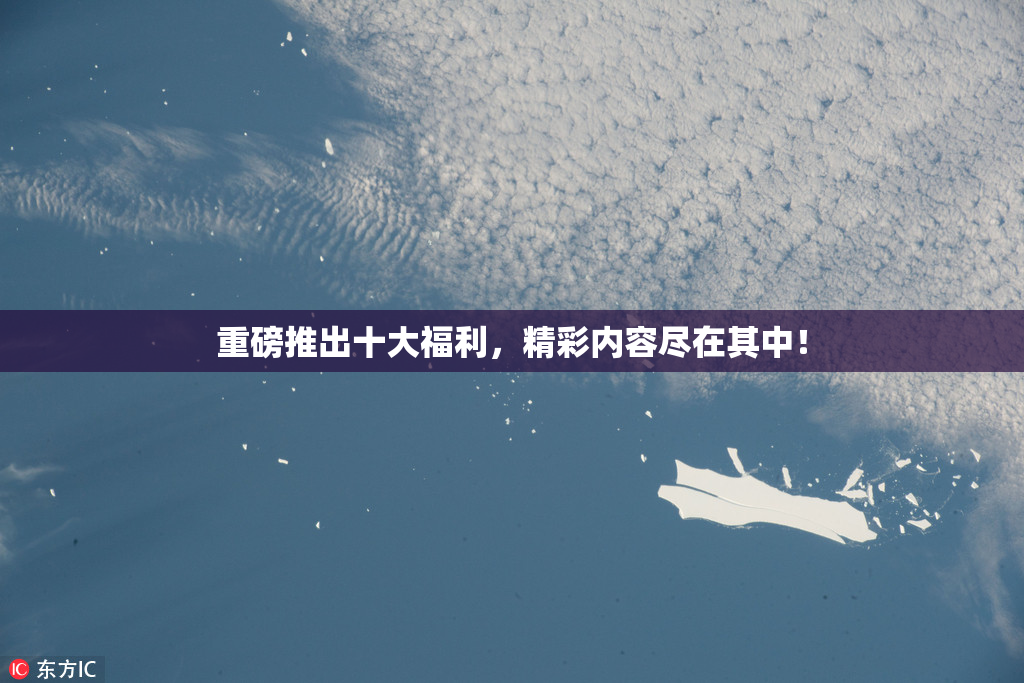 重磅推出十大福利，精彩内容尽在其中！