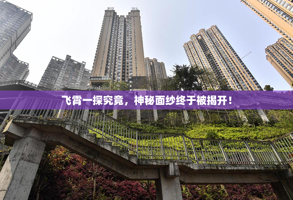飞霄一探究竟，神秘面纱终于被揭开！