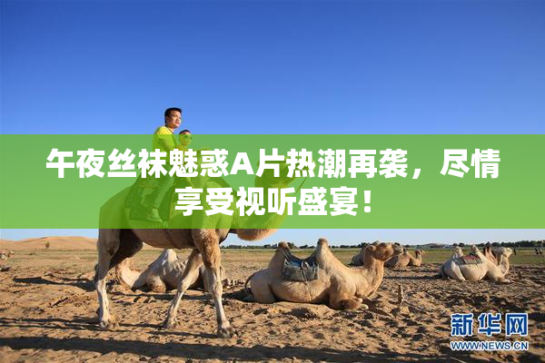 午夜丝袜魅惑A片热潮再袭，尽情享受视听盛宴！