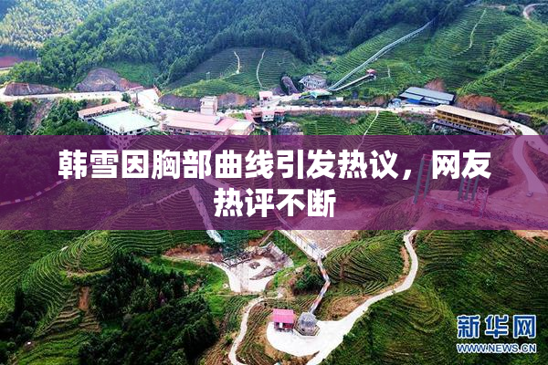 韩雪因胸部曲线引发热议，网友热评不断