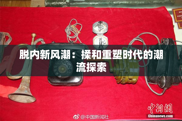 脱内新风潮：揉和重塑时代的潮流探索