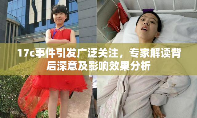 17c事件引发广泛关注，专家解读背后深意及影响效果分析