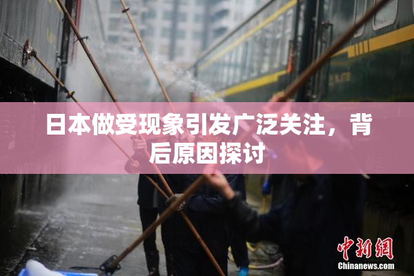 日本做受现象引发广泛关注，背后原因探讨