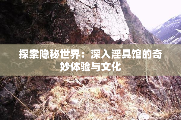 探索隐秘世界：深入淫具馆的奇妙体验与文化
