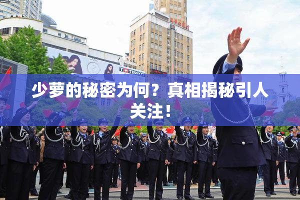 少萝的秘密为何？真相揭秘引人关注！