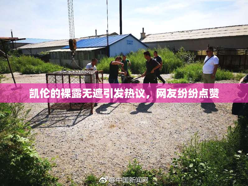 凯伦的裸露无遮引发热议，网友纷纷点赞