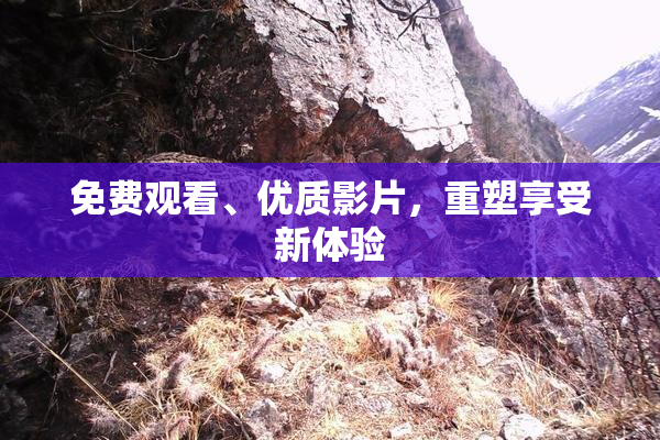 免费观看、优质影片，重塑享受新体验