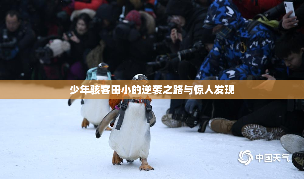 少年骇客田小的逆袭之路与惊人发现