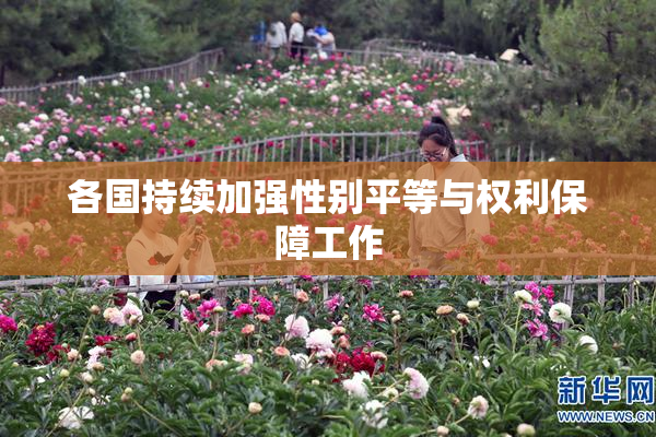 各国持续加强性别平等与权利保障工作