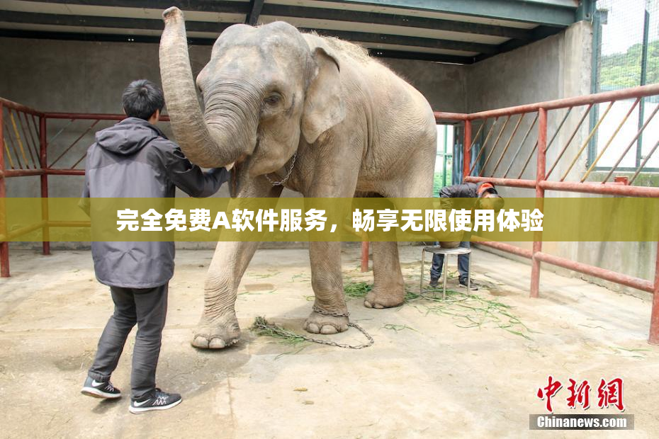 完全免费A软件服务，畅享无限使用体验