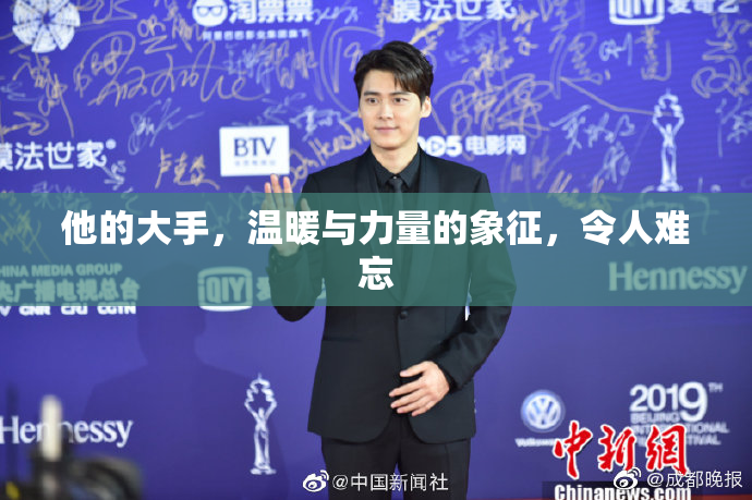 他的大手，温暖与力量的象征，令人难忘