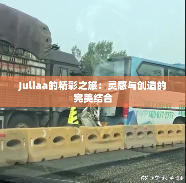 Juliaa的精彩之旅：灵感与创造的完美结合