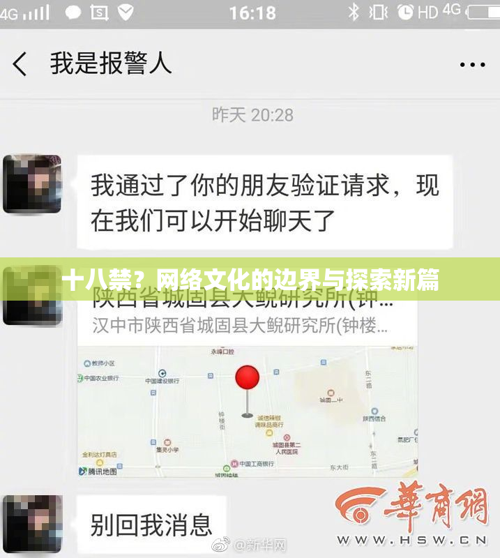 十八禁？网络文化的边界与探索新篇