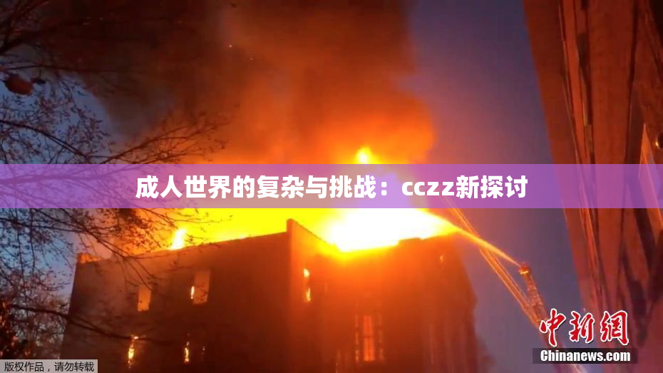 成人世界的复杂与挑战：cczz新探讨