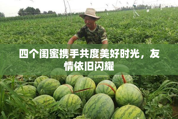 四个闺蜜携手共度美好时光，友情依旧闪耀