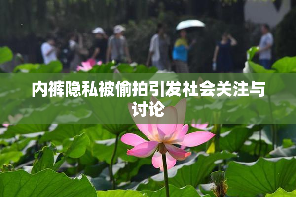 内裤隐私被偷拍引发社会关注与讨论