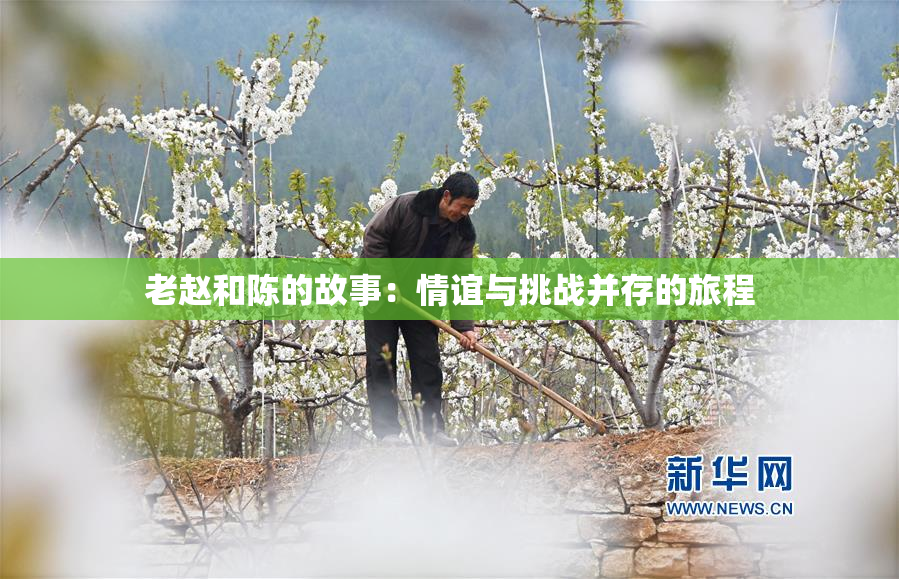 老赵和陈的故事：情谊与挑战并存的旅程