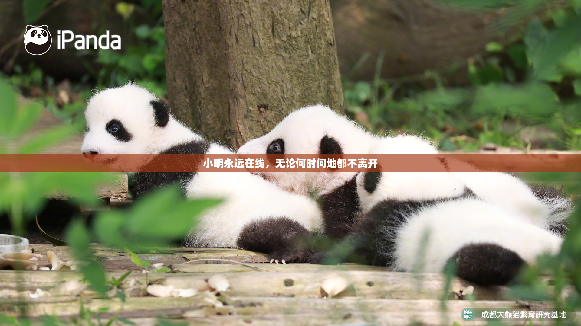 小明永远在线，无论何时何地都不离开