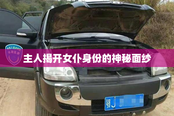 主人揭开女仆身份的神秘面纱