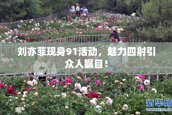 刘亦菲现身91活动，魅力四射引众人瞩目！
