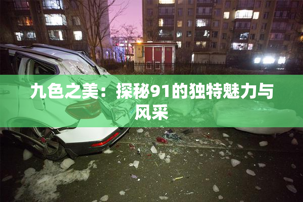 九色之美：探秘91的独特魅力与风采