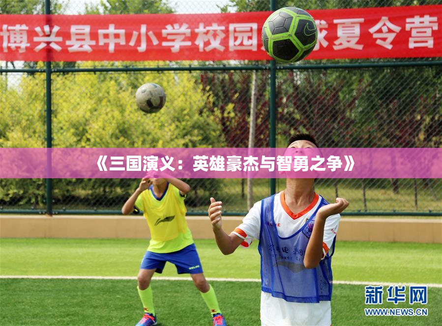 《三国演义：英雄豪杰与智勇之争》