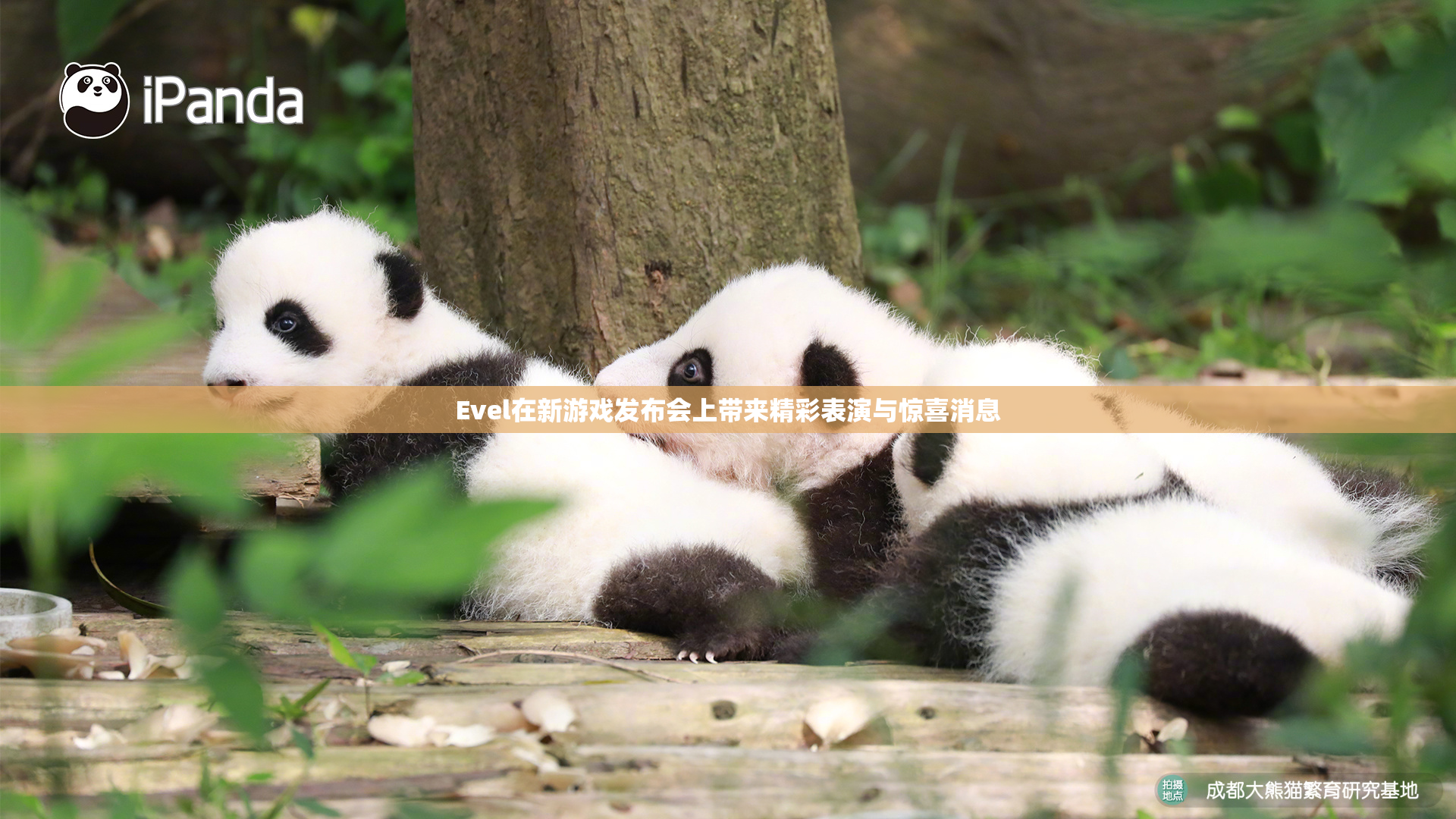 Evel在新游戏发布会上带来精彩表演与惊喜消息