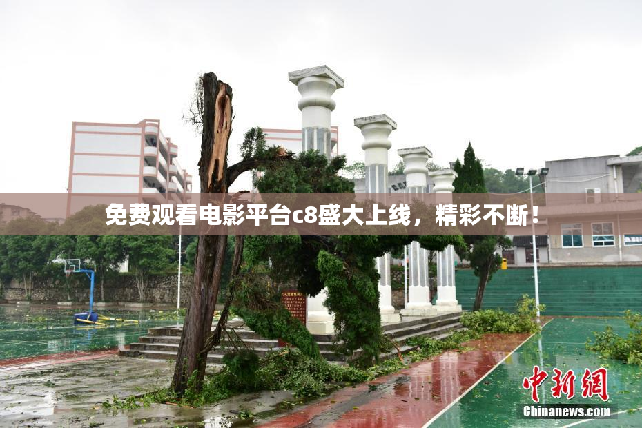 免费观看电影平台c8盛大上线，精彩不断！
