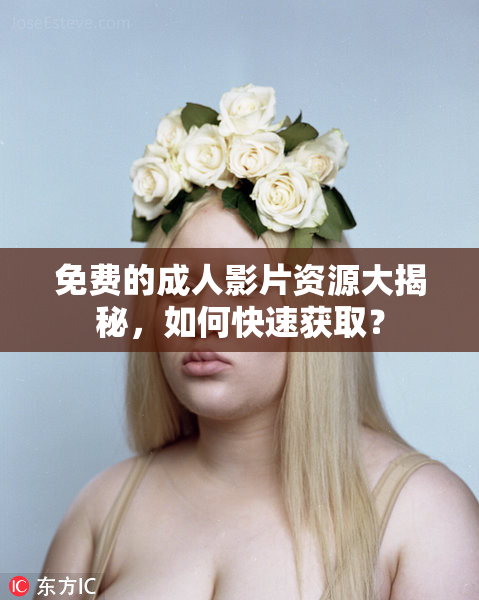 免费的成人影片资源大揭秘，如何快速获取？