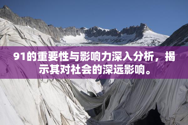 91的重要性与影响力深入分析，揭示其对社会的深远影响。