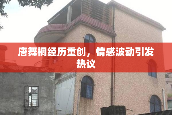 唐舞桐经历重创，情感波动引发热议