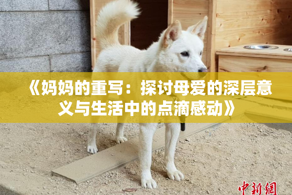 《妈妈的重写：探讨母爱的深层意义与生活中的点滴感动》
