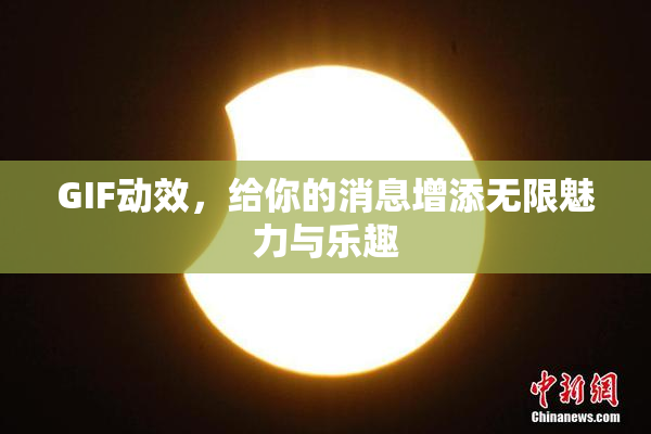 GIF动效，给你的消息增添无限魅力与乐趣