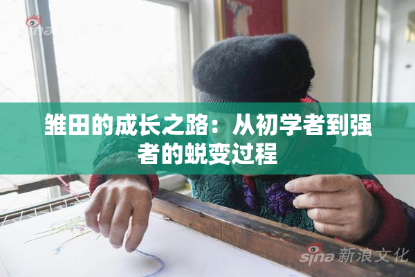 雏田的成长之路：从初学者到强者的蜕变过程