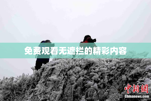 免费观看无遮拦的精彩内容