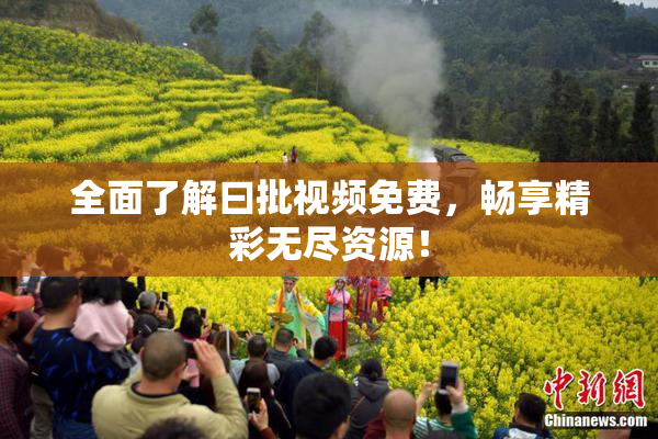 全面了解曰批视频免费，畅享精彩无尽资源！