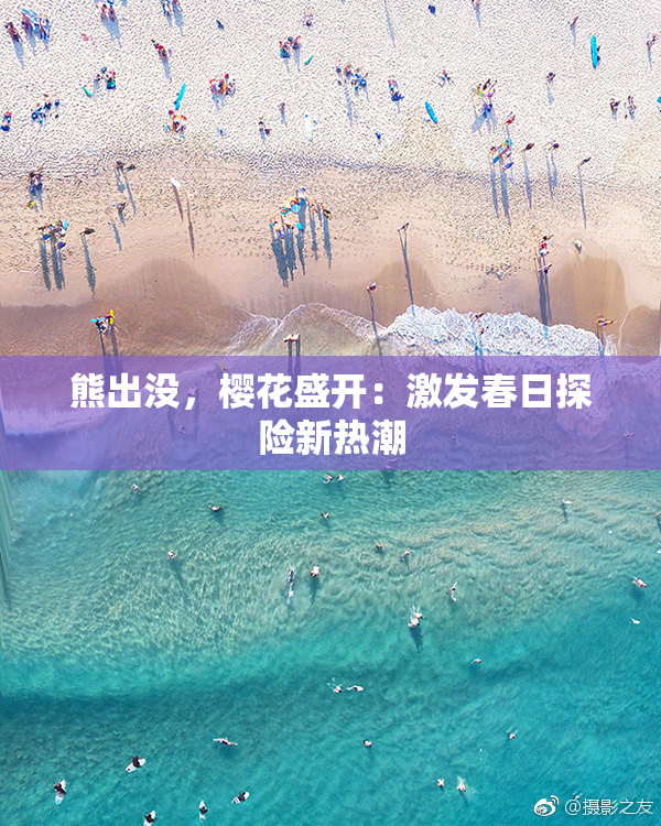 熊出没，樱花盛开：激发春日探险新热潮
