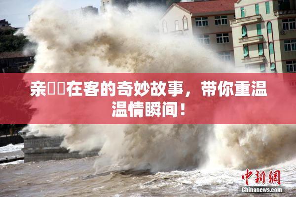 亲妺妺在客的奇妙故事，带你重温温情瞬间！