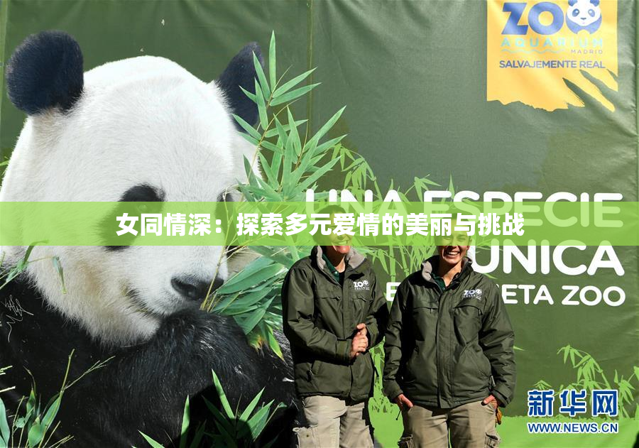女同情深：探索多元爱情的美丽与挑战
