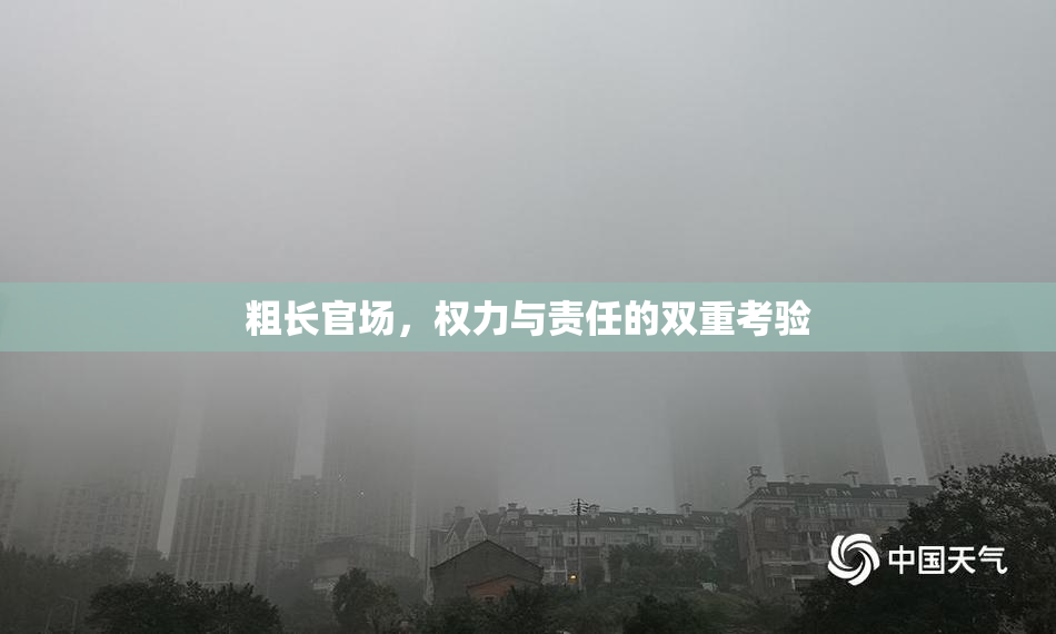 粗长官场，权力与责任的双重考验