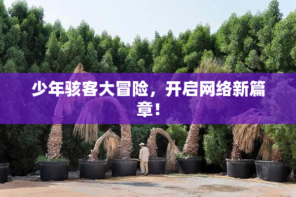 少年骇客大冒险，开启网络新篇章！