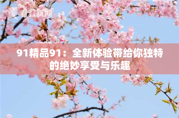 91精品91：全新体验带给你独特的绝妙享受与乐趣