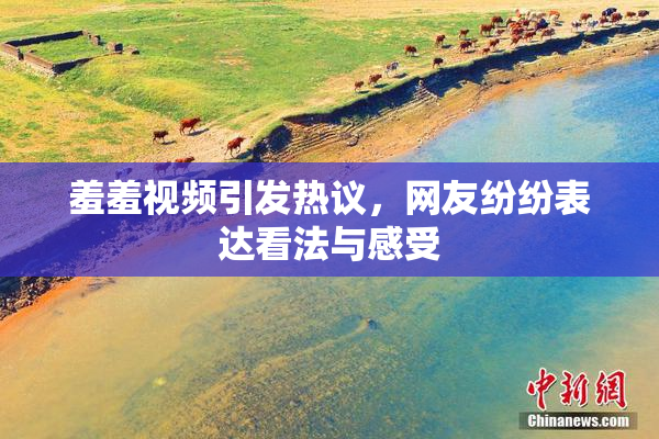 羞羞视频引发热议，网友纷纷表达看法与感受