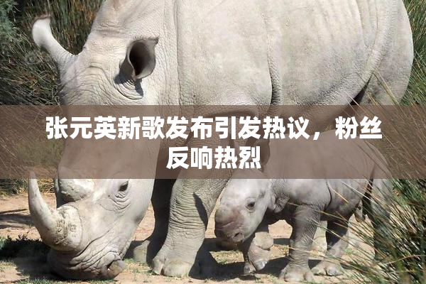 张元英新歌发布引发热议，粉丝反响热烈