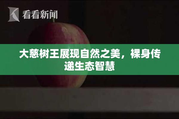 大慈树王展现自然之美，裸身传递生态智慧