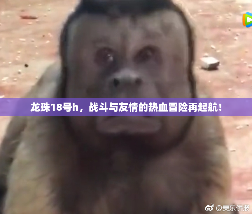 龙珠18号h，战斗与友情的热血冒险再起航！